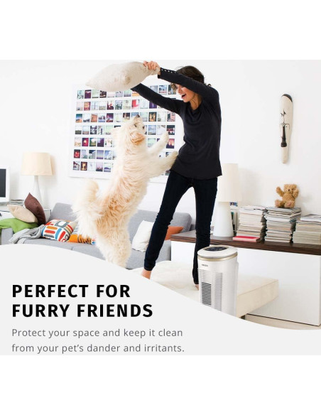 Filtro de Reemplazo HEPA-Tipo HoMEDiCS AT-PETODR para Purificadores