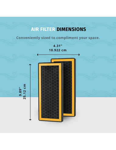 Filtro de Reemplazo HEPA-Tipo HoMEDiCS AT-PETODR para Purificadores