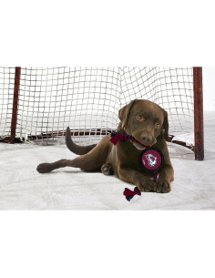 Juguete de disco de hockey Pets First para perros 38 cm 2