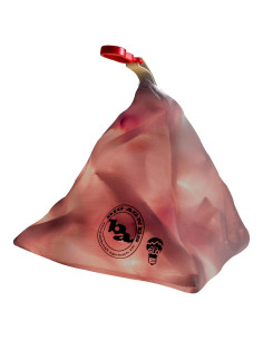 Tienda de Camping Big Agnes mtnGLO LED Rojo 254 cm