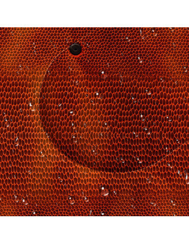 Saco de Dormir BSNTHO 3 Temporadas 79x229cm Impermeable