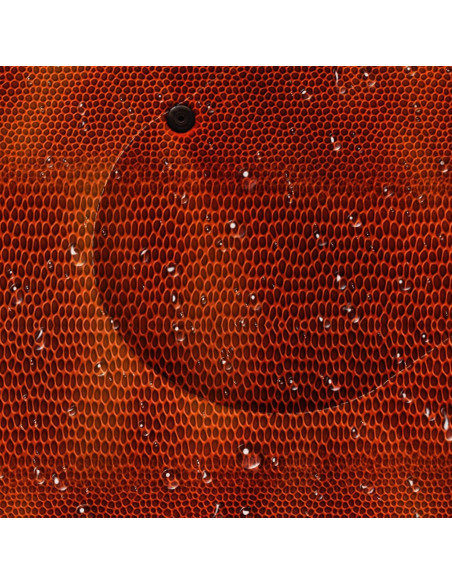 Saco de Dormir BSNTHO 3 Temporadas 79x229cm Impermeable