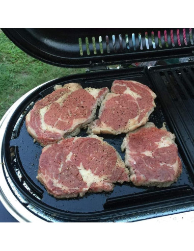 Rejillas de Parrilla y Plancha Dongftai CC1E 33x31.5 cm