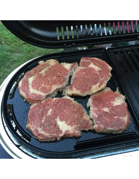 Rejillas de Parrilla y Plancha Dongftai CC1E 33x31.5 cm