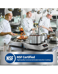 Cocina de Inducción Portátil ChangBERT 1800W Acero Inoxidable 2