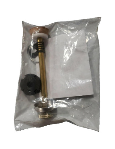 Kit de Émbolo de Bomba Coleman 242M5305 con Copa de Cuero