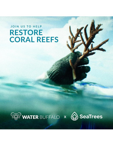 Silla de Playa Plegable Water Buffalo Bondi - 3 Posiciones, Portavasos