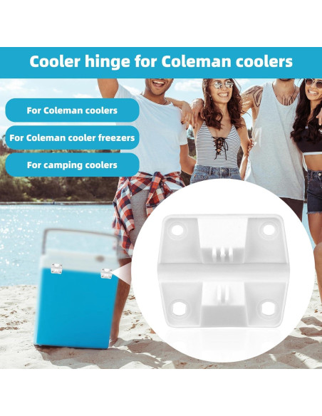 Kit de 4 Bisagras de Plástico para Cooler Gosknor con Tornillos
