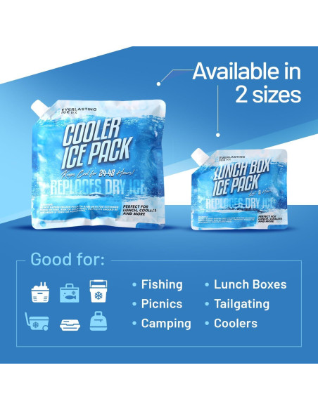 Paquete de 4 Paquetes de Hielo Reutilizables Everlasting Ice RX