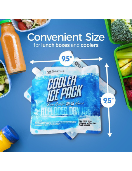 Paquete de 4 Paquetes de Hielo Reutilizables Everlasting Ice RX