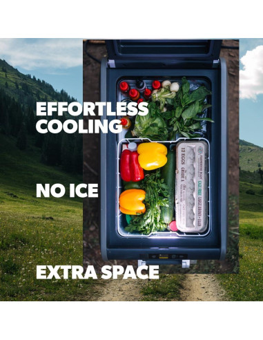 Refrigerador y Congelador Portátil Dometic CFX5 25L -21C