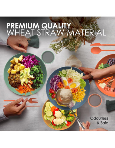 Juego de Vajilla de Paja de Trigo DINETHICS para 4 Personas