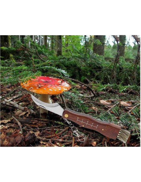 Cuchillo Plegable para Champiñones Yuntis con Cepillo de Cerda