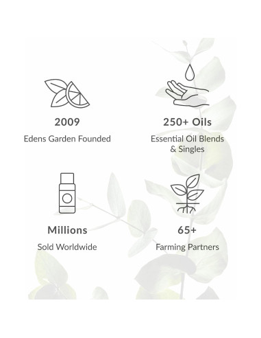 Inhalador de Aceite Esencial Edens Garden - Stick Nasal Portátil