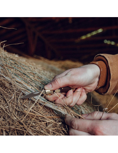 Cuchillo Plegable Viejo Temporizador 8OT Senior 17.5cm Acero Inoxidable