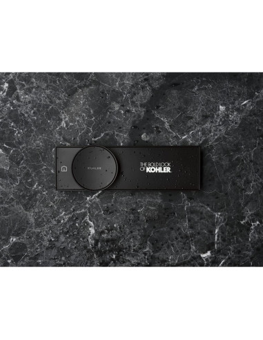 Control Digital de Ducha KOHLER 28214-BN Níquel Cepillado