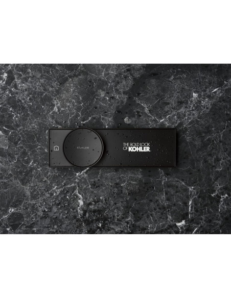 Control Digital de Ducha KOHLER 28214-BN Níquel Cepillado