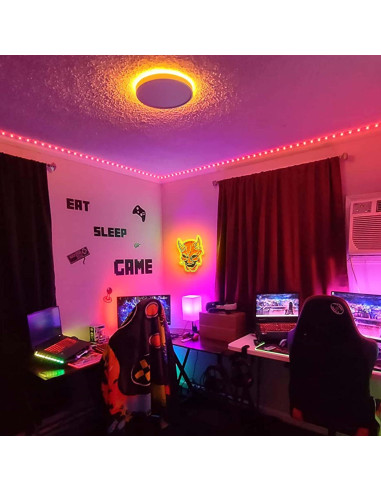 Luz de Neón Hannya GGK 30.99x42.93cm Decoración