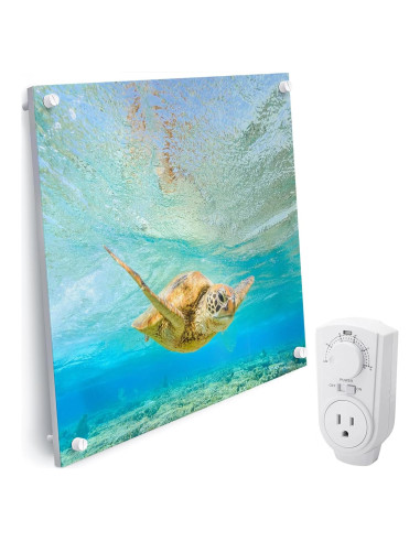 Calefactor de Pared EconoHome 400W - Termostato - 11.15 m