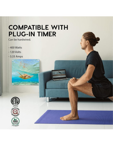 Calefactor de Pared EconoHome 400W - Termostato - 11.15 m