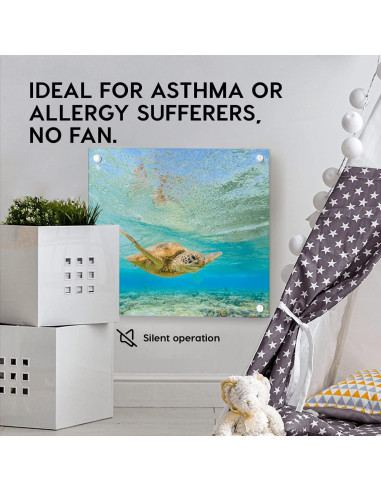 Calefactor de Pared EconoHome 400W - Termostato - 11.15 m