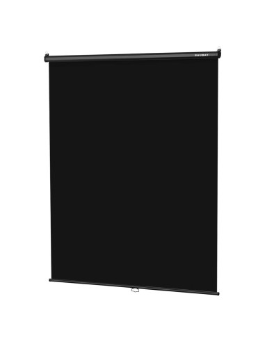 Fondo Retráctil Negro RAUBAY 151.6 x 219.4 cm para Video