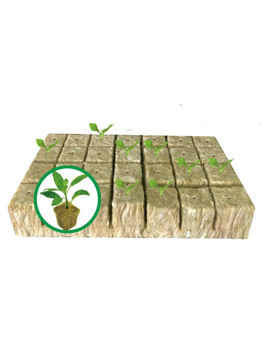 Tapones de Rockwool MI0512 28 Piezas 3.81 cm para Hidroponía