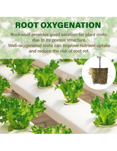Tapones de Rockwool MI0512 28 Piezas 3.81 cm para Hidroponía