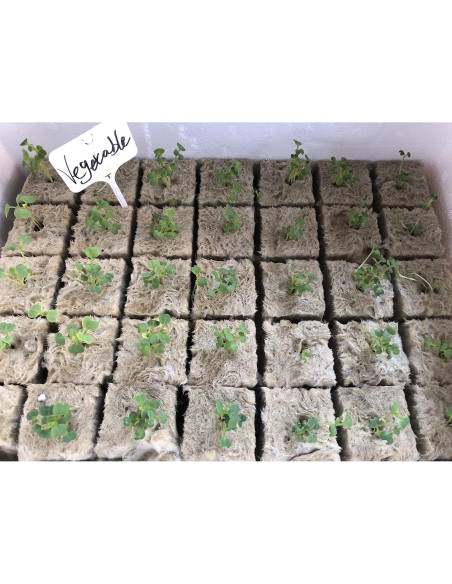 Tapones de Rockwool MI0512 28 Piezas 3.81 cm para Hidroponía