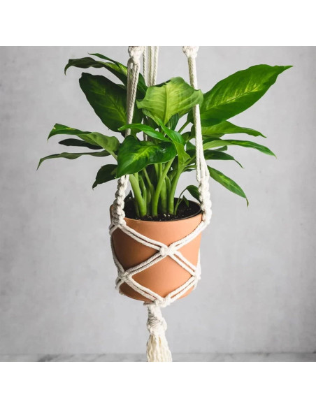 Cuerda de Algodón Náutica jijAcraft 6mm x 30m Blanca