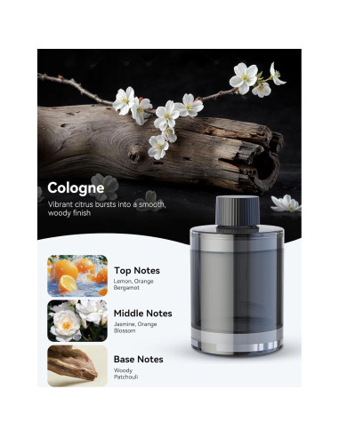 Ambientador de Aire para Coche Ceeniu CF3 135ml Automático