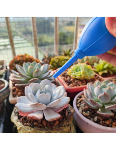 Soplador de Aire Manual Medsuo 2pcs con Cepillo Suave 2