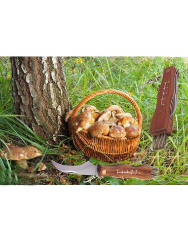 Cuchillo Plegable para Champiñones Yuntis 21 cm Acero Inoxidable