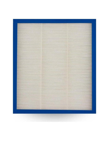 Filtro de Reemplazo HEPA-Tipo Homedics TotalClean AF-10FL