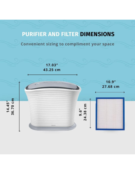 Filtro de Reemplazo HEPA-Tipo Homedics TotalClean AF-10FL