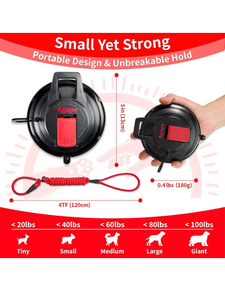 Ventosa de Alta Resistencia Agape para Perros y Gatos - Soporta 45kg