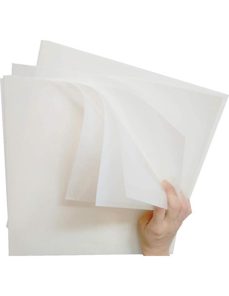 12 Hojas Plantillas en Blanco Mylar 6mil 30.48x30.48cm Arzok