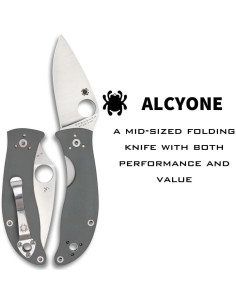 Cuchillo Plegable Spyderco Alcyone 7.39 cm Acero Inoxidable 2