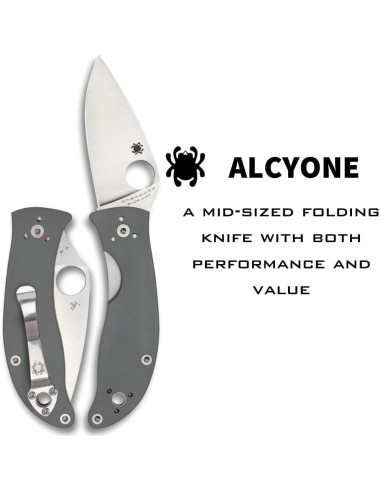 Cuchillo Plegable Spyderco Alcyone 7.39 cm Acero Inoxidable