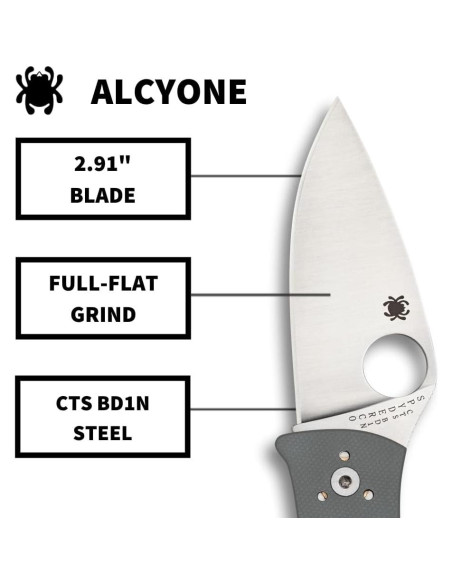 Cuchillo Plegable Spyderco Alcyone 7.39 cm Acero Inoxidable