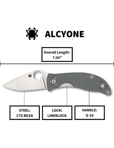 Cuchillo Plegable Spyderco Alcyone 7.39 cm Acero Inoxidable