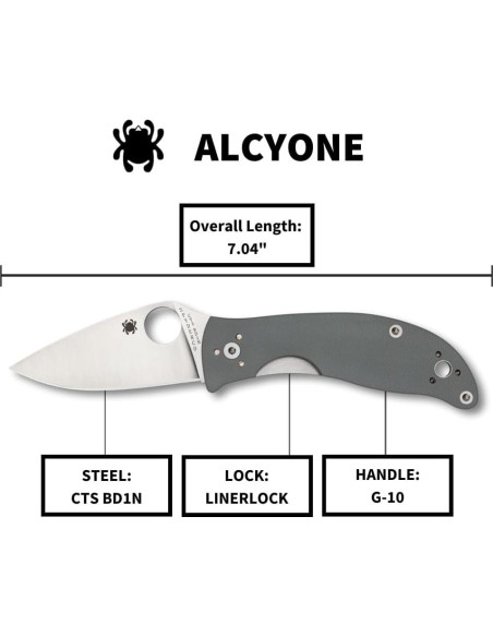 Cuchillo Plegable Spyderco Alcyone 7.39 cm Acero Inoxidable