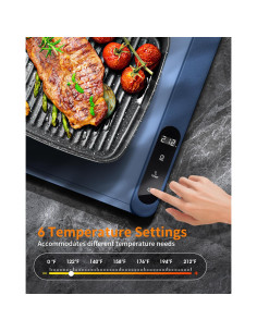 Bandeja Calentadora Eléctrica FAN HOME 500W Grafeno 60x37cm 2