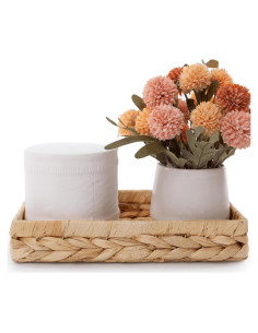 Bandeja de Baño Rectangular HAMOTOPI 25.4x15.2 cm Beige