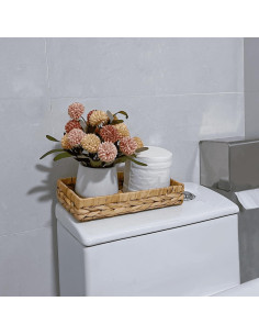 Bandeja de Baño Rectangular HAMOTOPI 25.4x15.2 cm Beige 2