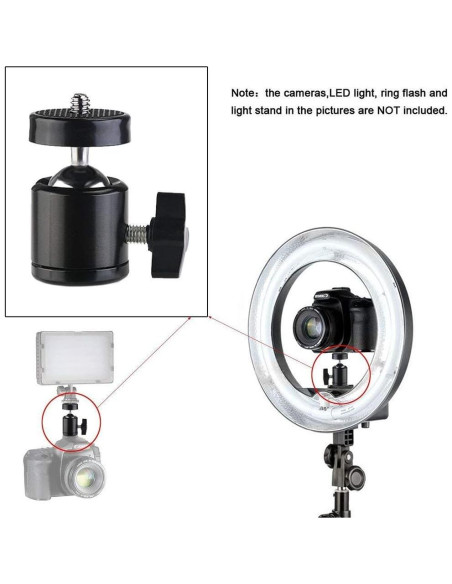 Adaptador de Montaje en Zapata SLOW DOLPHIN 360 para Cámaras