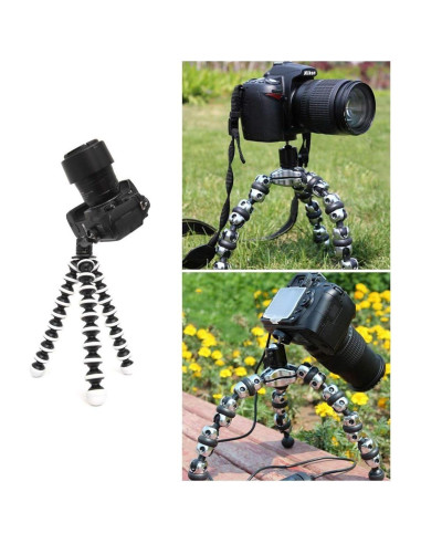 Adaptador de Montaje en Zapata SLOW DOLPHIN 360 para Cámaras