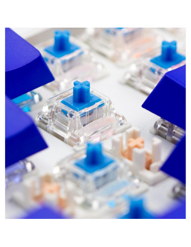 Interruptores mecánicos Gateron G Pro 3.0 Azul 70 Pcs 60gf
