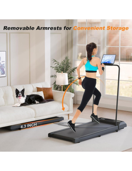 Caminadora Portátil Canisflax N2-GY 2.5HP 136kg Inclinación