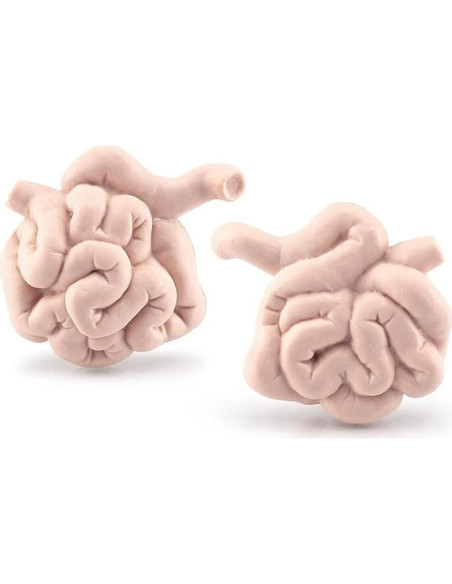 Juego de 8 Piezas de Órganos Humanos Miniatura Beauy Girl